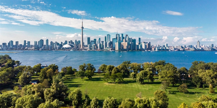 Ontario Virtual Doctors
